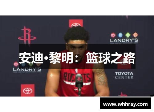 安迪·黎明：篮球之路